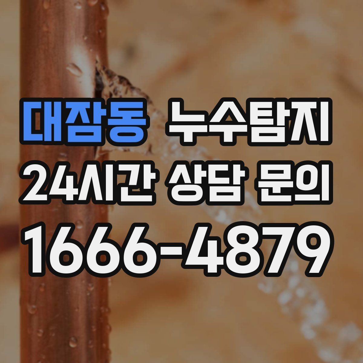 대잠동 누수탐지 타일 틈새 점검으로 찾은 누수