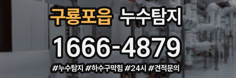 누수닥터 누수탐지