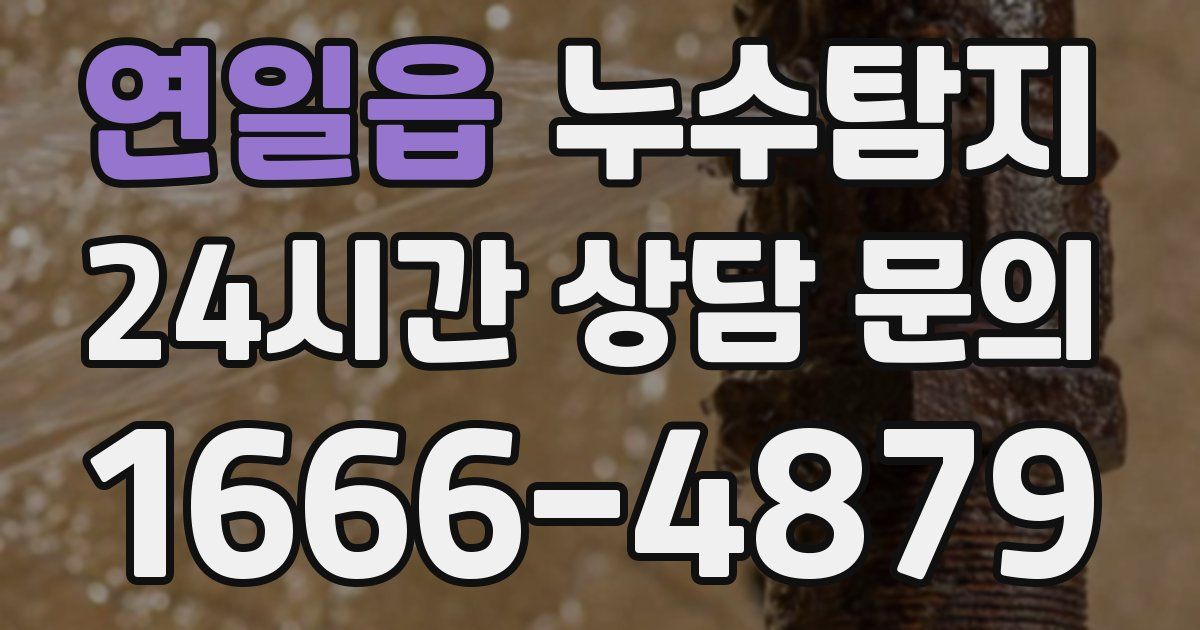 하수구막힘