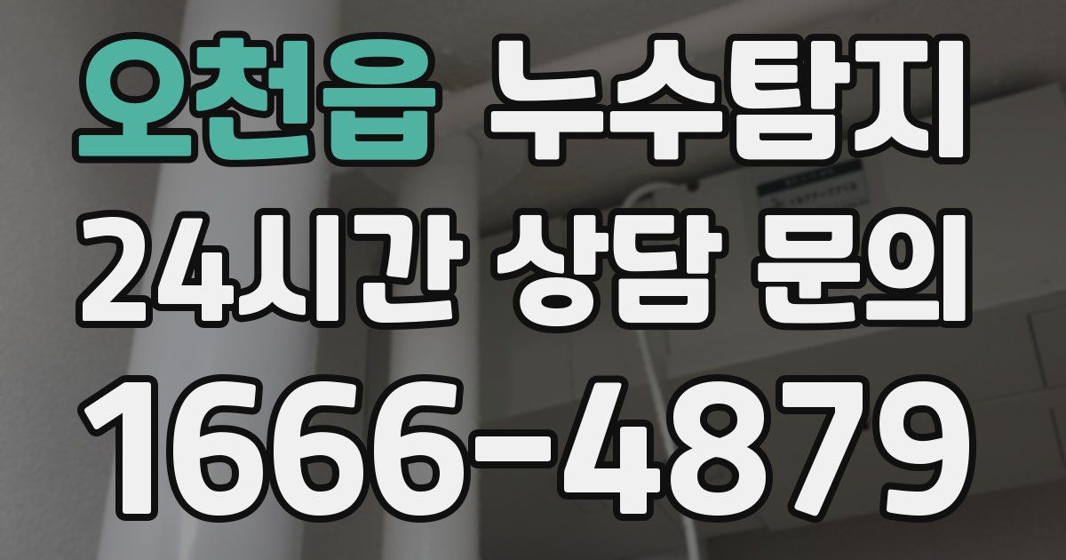 하수구막힘