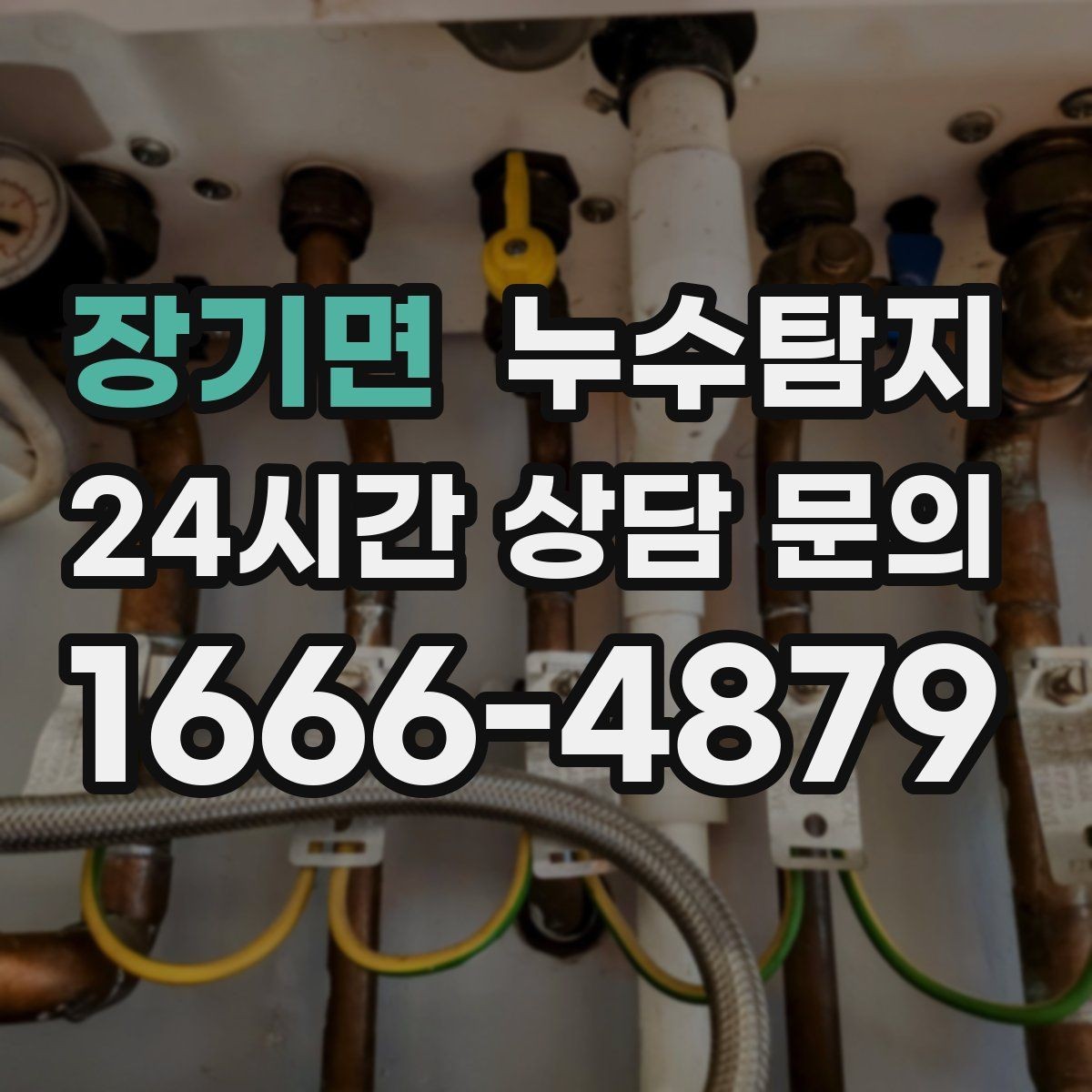 장기면 누수탐지 실내 곰팡이와 악취 방지를 위한 방법