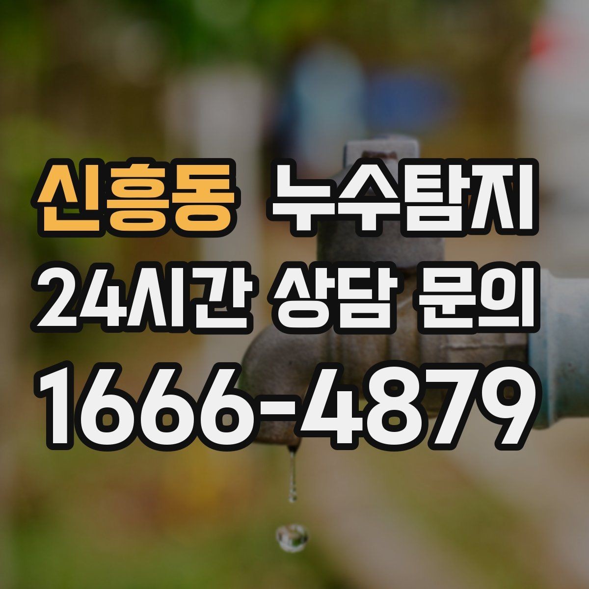 신흥동 누수탐지 실내 곰팡이와 악취 방지를 위한 방법