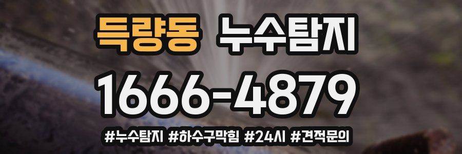 누수닥터 누수탐지