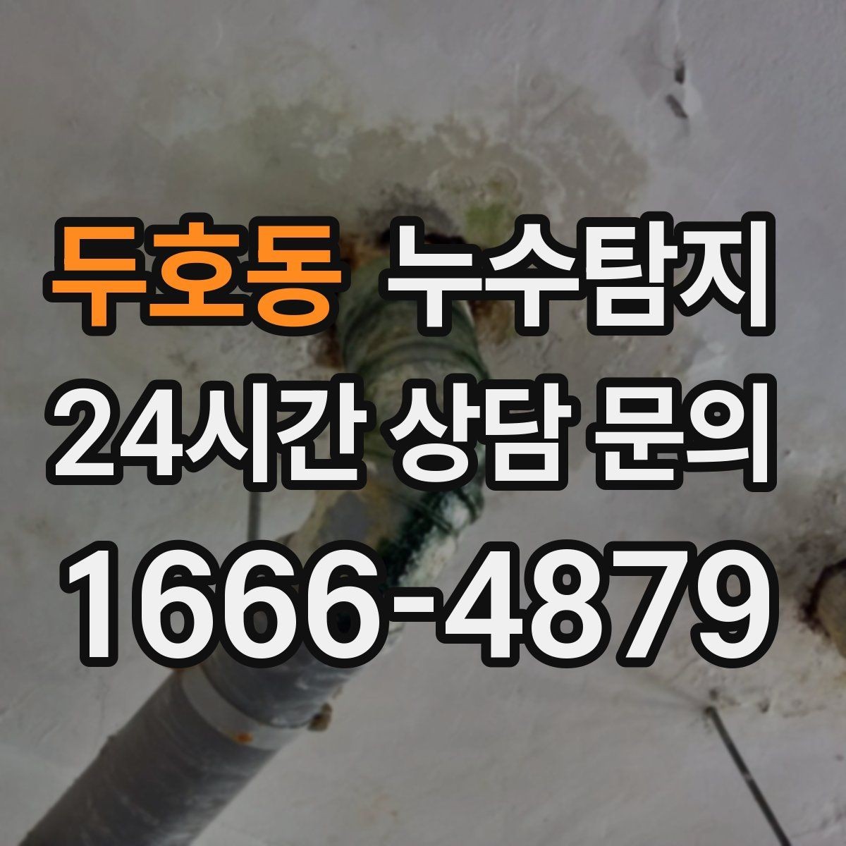 두호동 누수탐지 현관 타일 습기 해결 과정