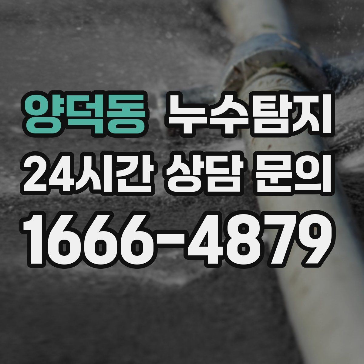 양덕동 누수탐지 이웃과 원만히 해결한 사례
