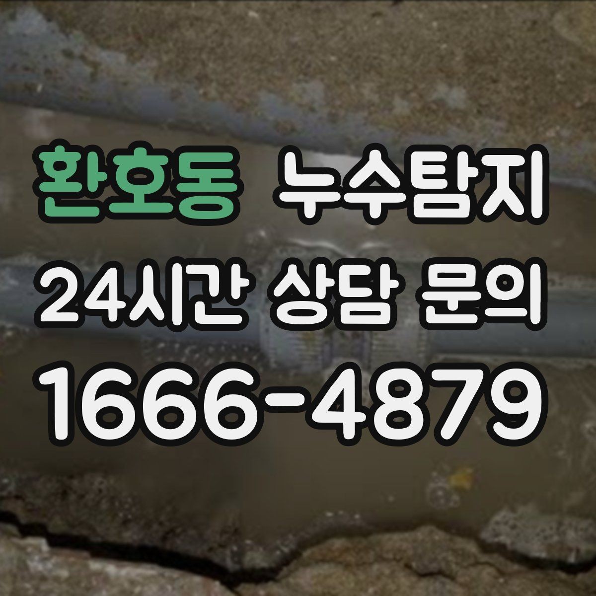 환호동 누수탐지 공실 관리 정기 점검 운영기