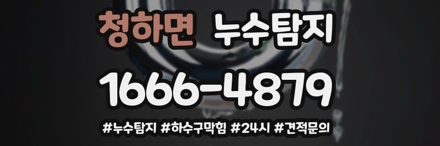 누수닥터 누수탐지