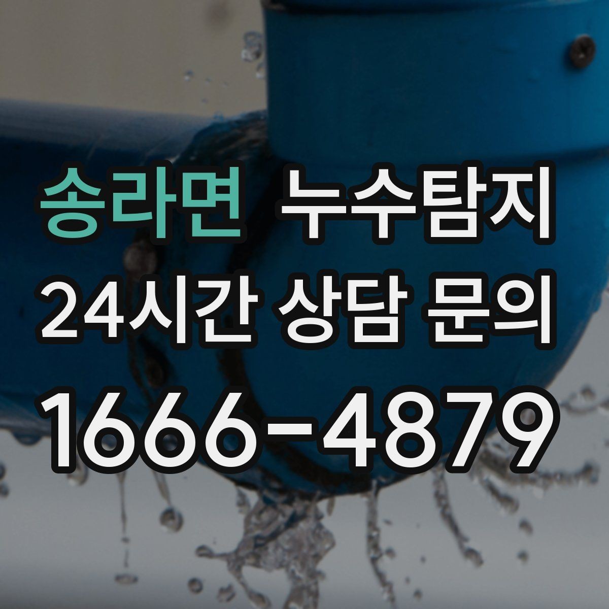 송라면 누수탐지 학교 시설 점검 사례 공유