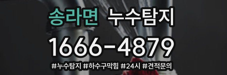 누수닥터 누수탐지