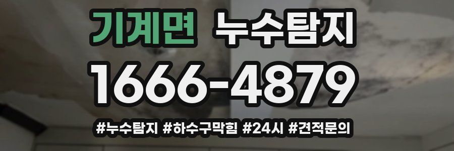 누수닥터 누수탐지