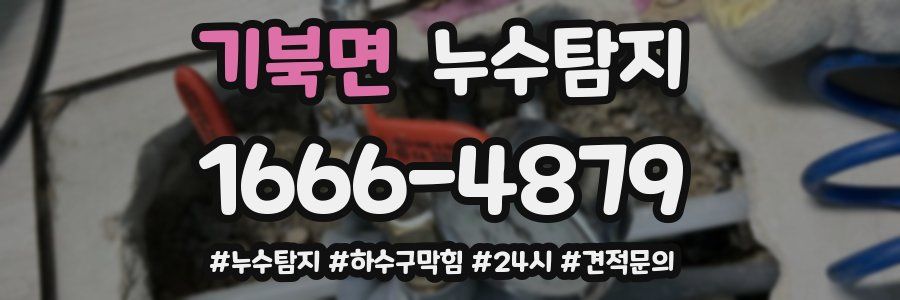 누수닥터 누수탐지