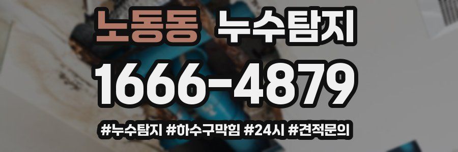 누수닥터 누수탐지