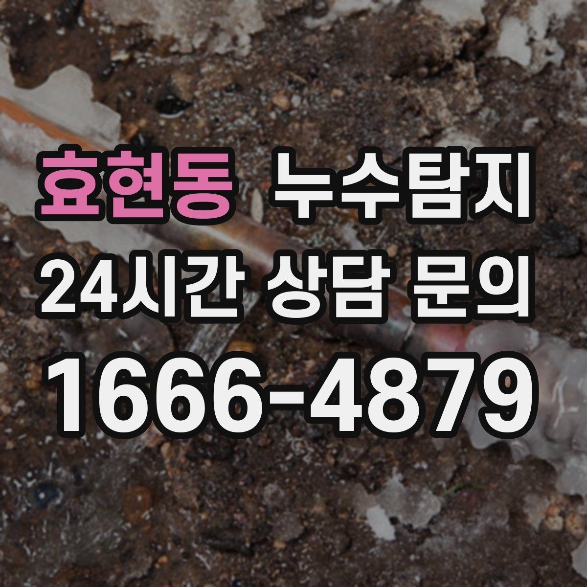 효현동 누수탐지 학교와 병원 등 공공시설 점검기