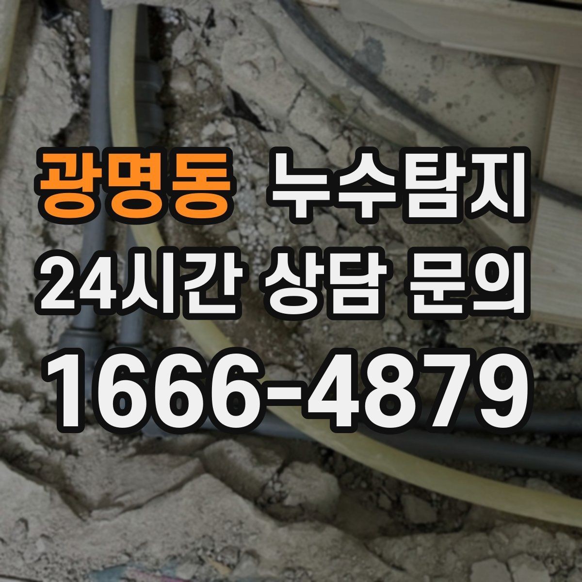광명동 누수탐지 가구 뒤 곰팡이 원인 파헤치기
