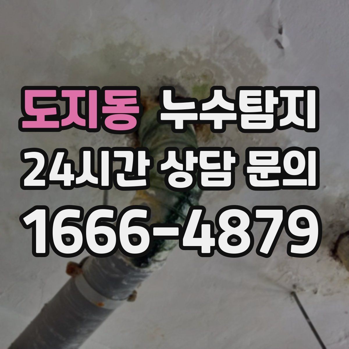 도지동 누수탐지 집 안 공기질이 달라진 이유