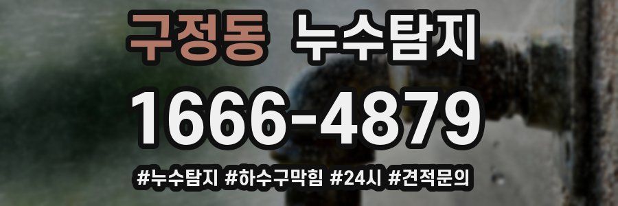 누수닥터 누수탐지