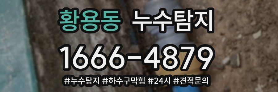 누수닥터 누수탐지