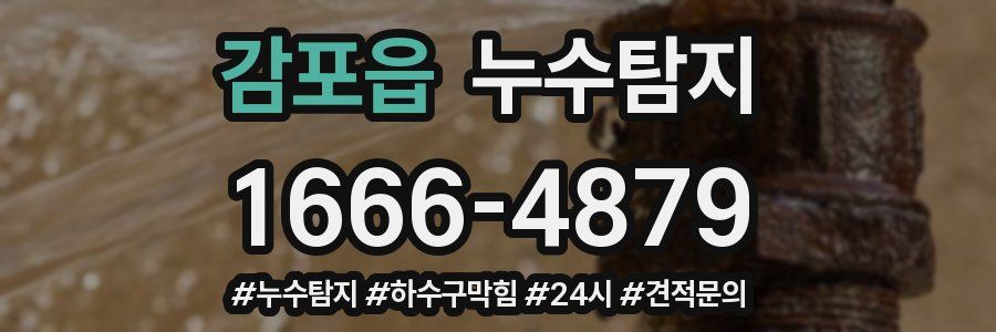 누수닥터 누수탐지