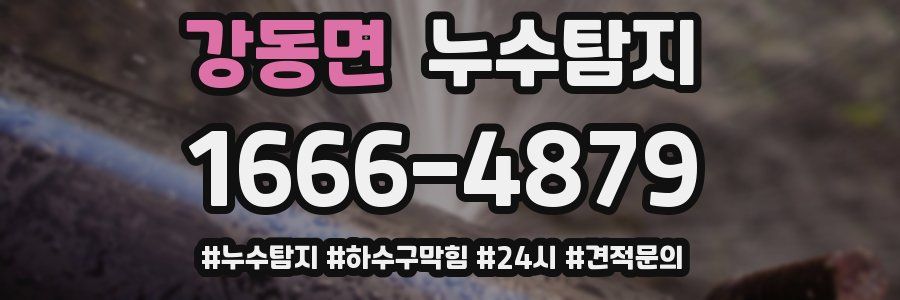 누수닥터 누수탐지