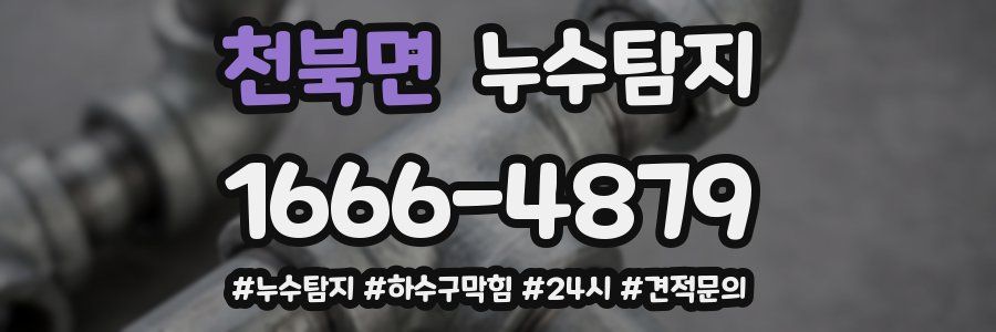 누수닥터 누수탐지