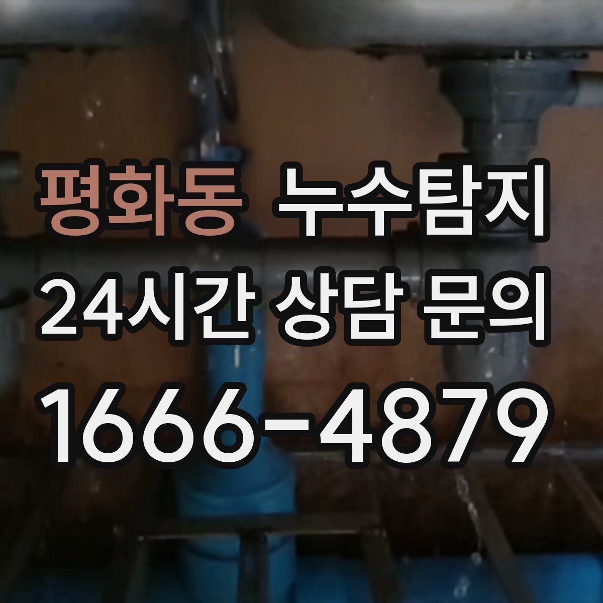 평화동 누수탐지 보일러 드레인 누수 확인