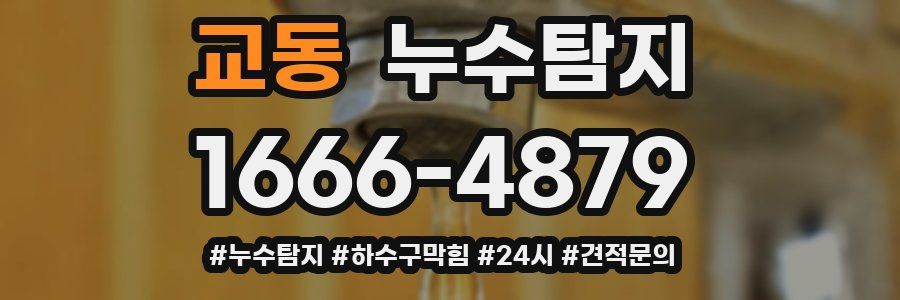 누수닥터 누수탐지