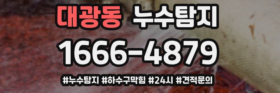 누수닥터 누수탐지