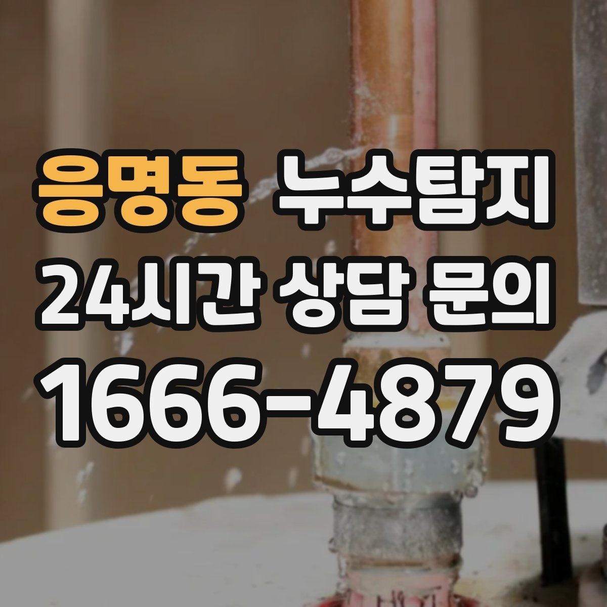 응명동 누수탐지 전세 계약 전 하자 점검