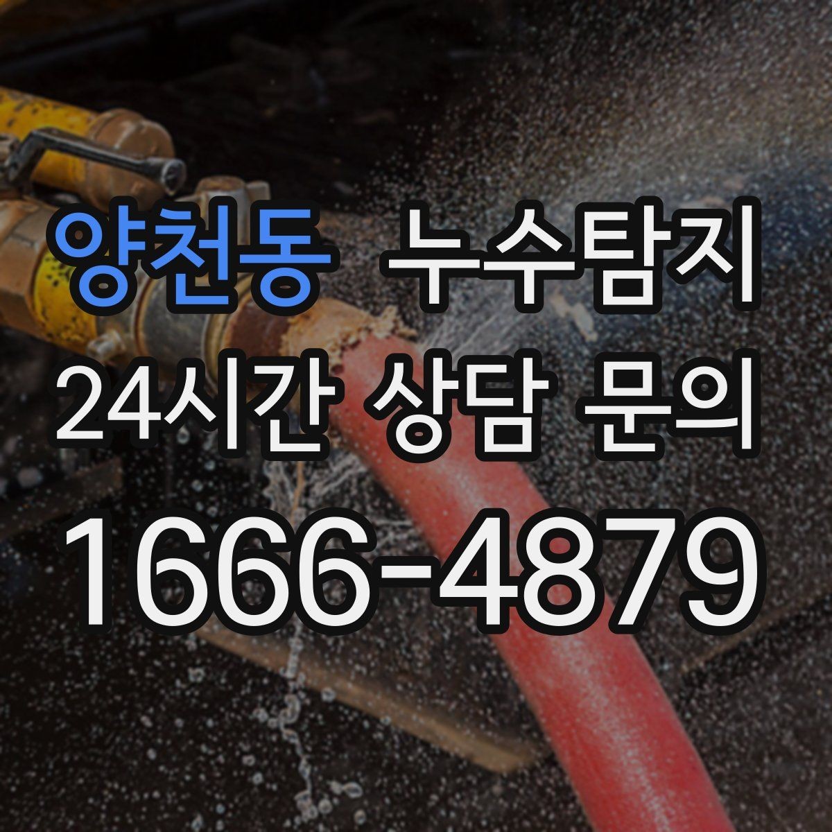 양천동 누수탐지 빠른 판단이 막은 2차 피해