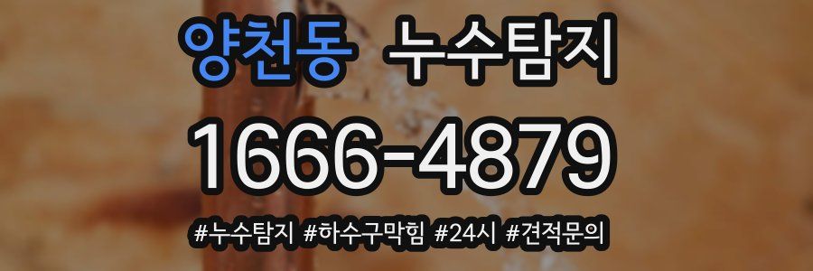 누수닥터 누수탐지