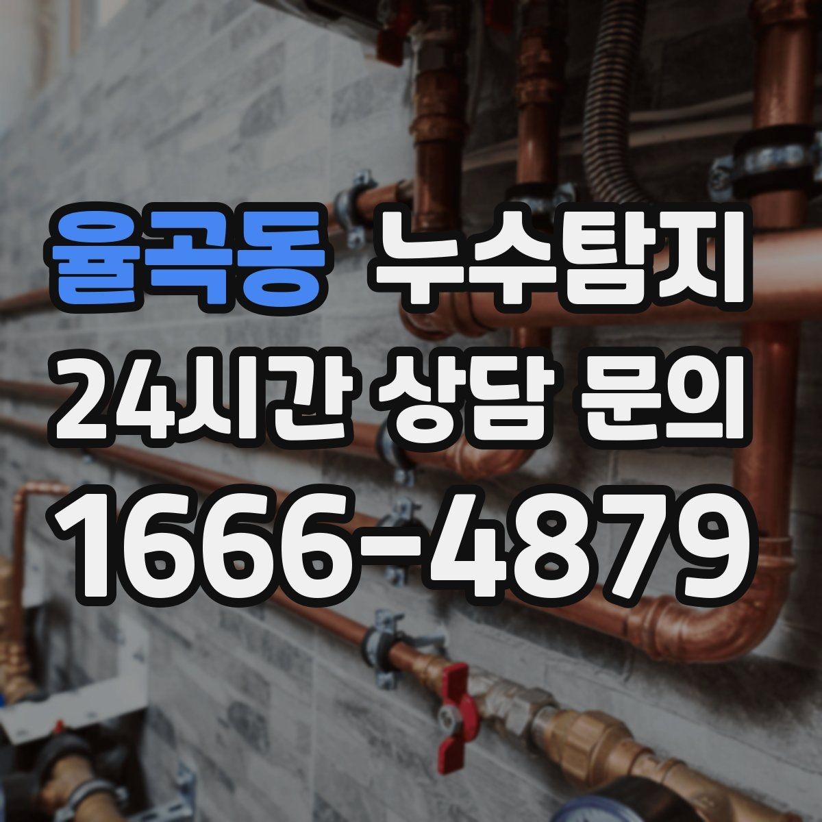 율곡동 누수탐지 발코니 난간 누수 해결