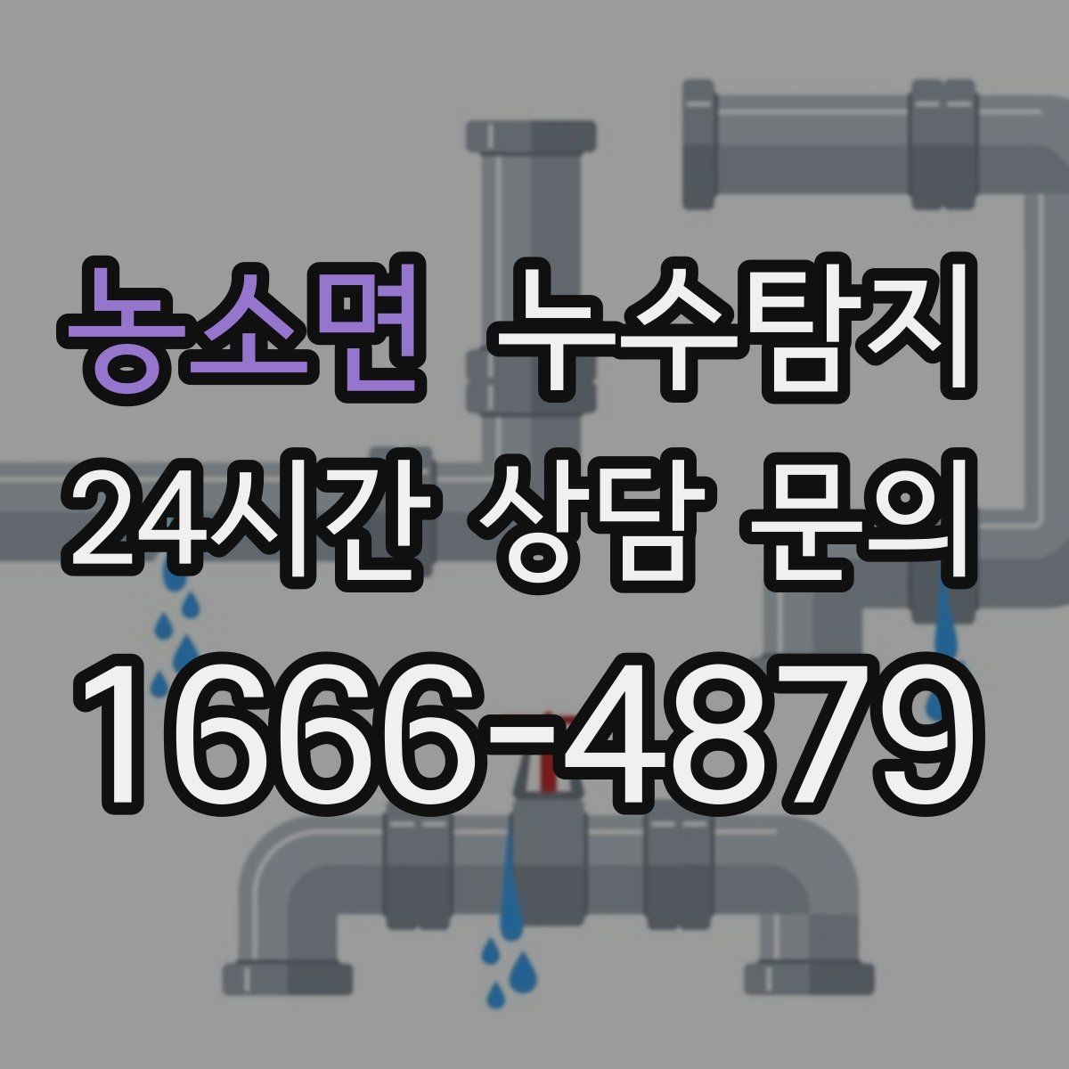 농소면 누수탐지 옥탑방 누수 원인과 대처 일지