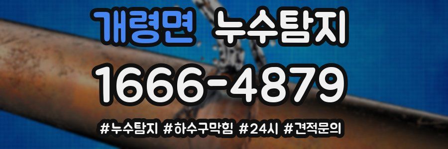 누수닥터 누수탐지