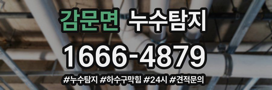 누수닥터 누수탐지