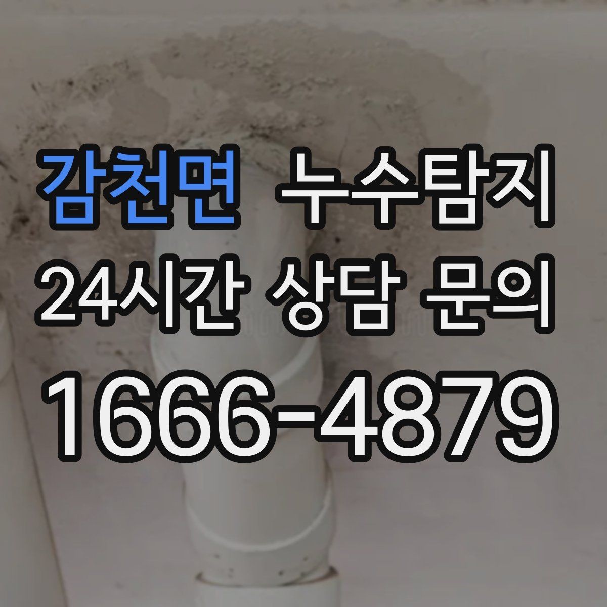 감천면 누수탐지 벽체 내부 소리로 찾은 단서