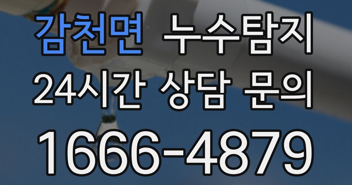 하수구막힘
