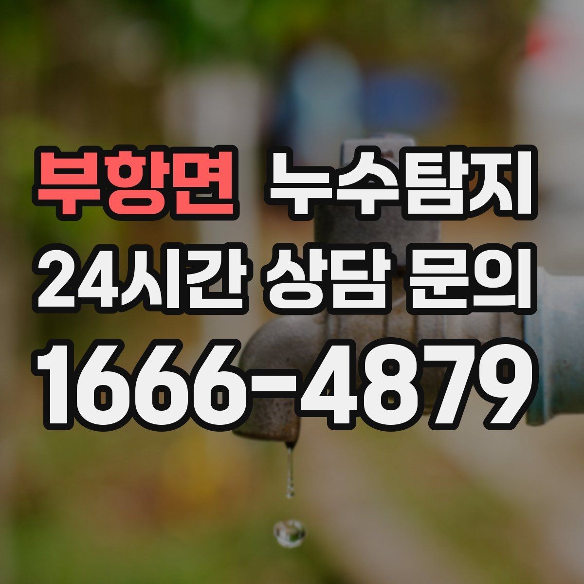 부항면 누수탐지 몰딩 틈새 습기 원인 추적