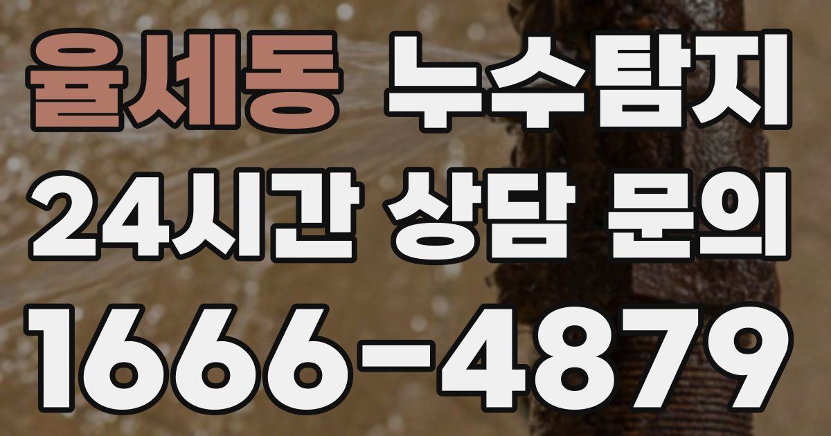 하수구막힘