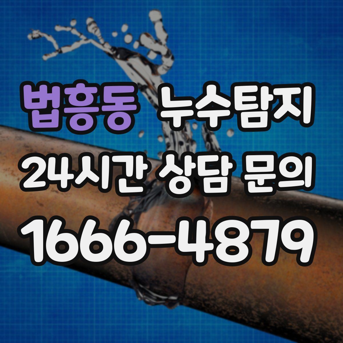 법흥동 누수탐지 욕실 곰팡이 사라진 변화 이야기