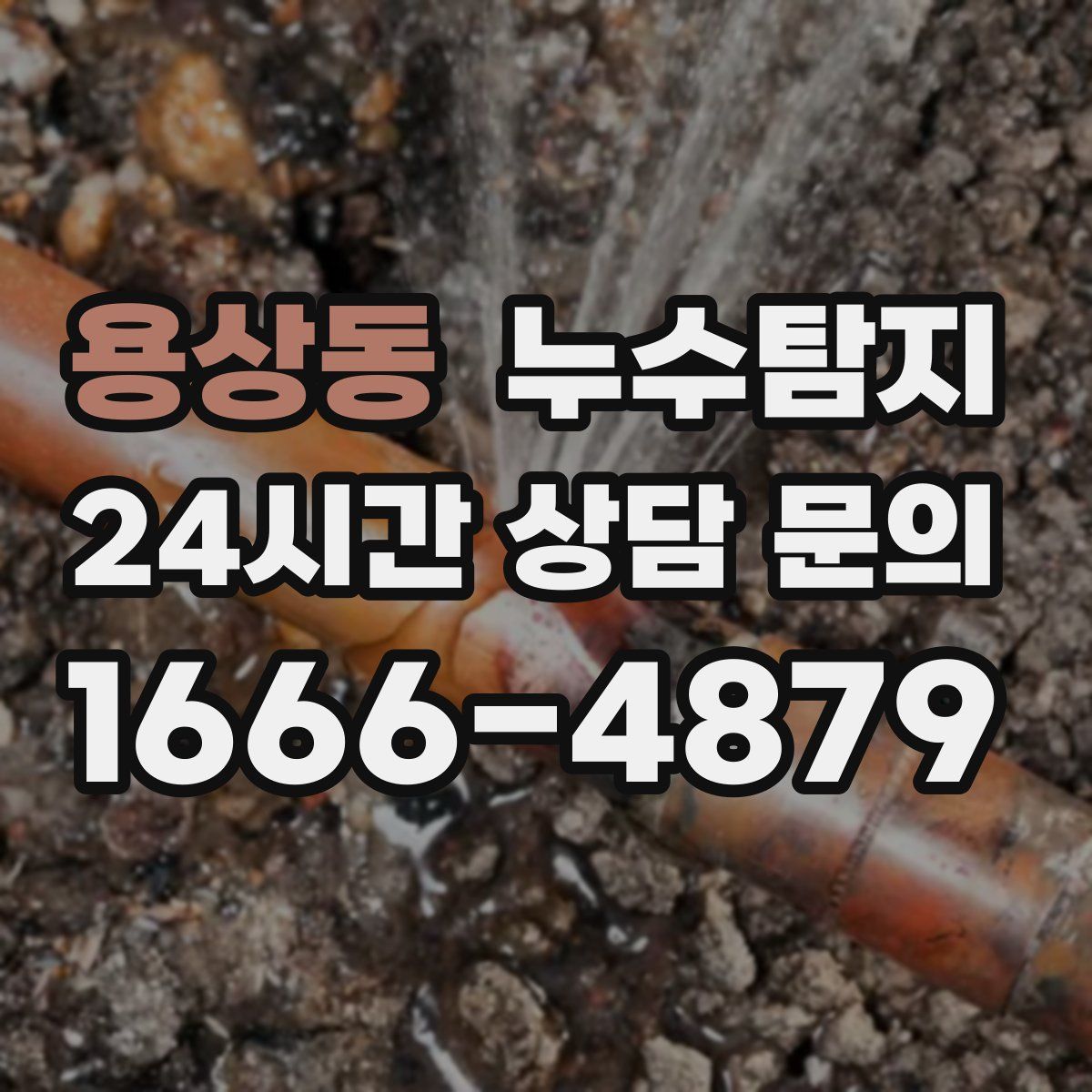 누수탐지