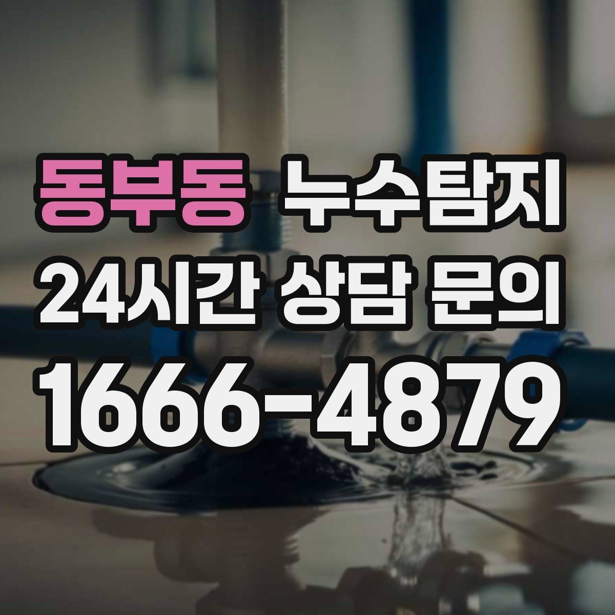 동부동 누수탐지 결로와 누수 구분하는 쉬운 방법
