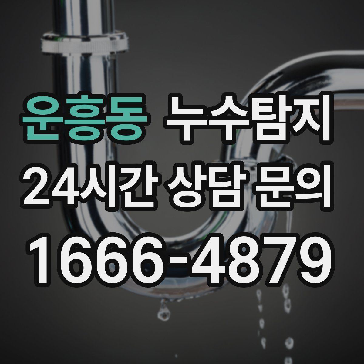 누수탐지