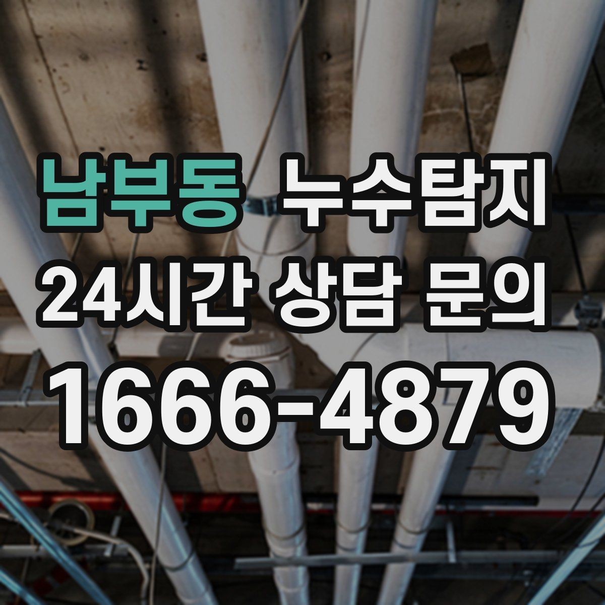 남부동 누수탐지 욕실 곰팡이 사라진 변화 이야기