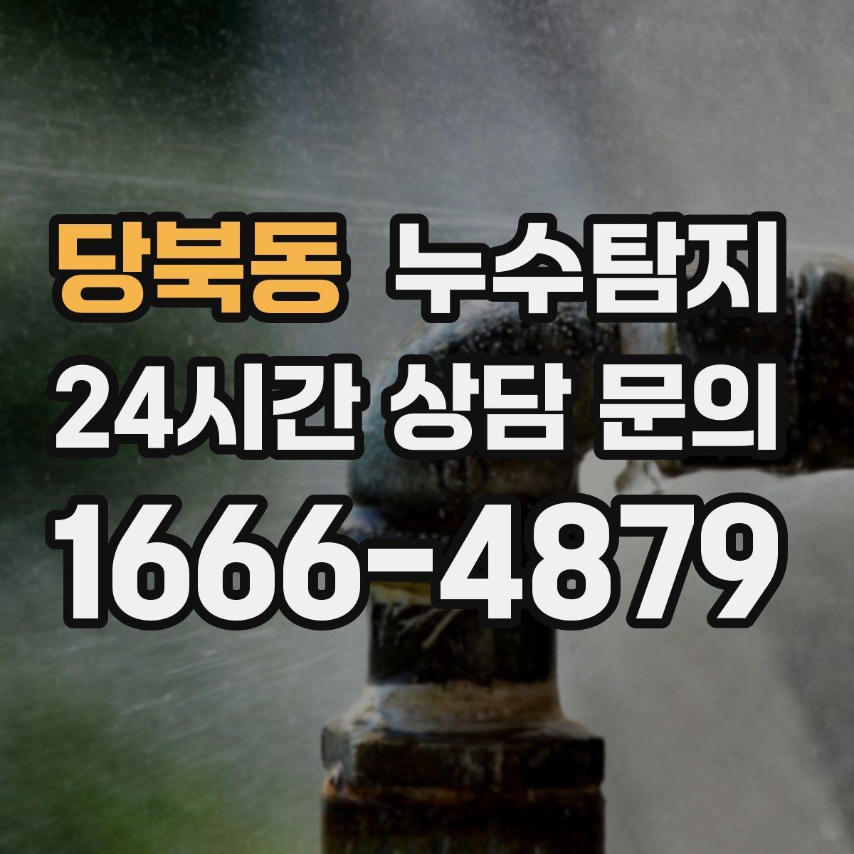 당북동 누수탐지 베란다 배수 정밀 점검