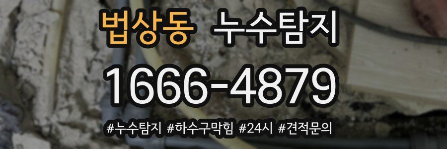 누수닥터 누수탐지