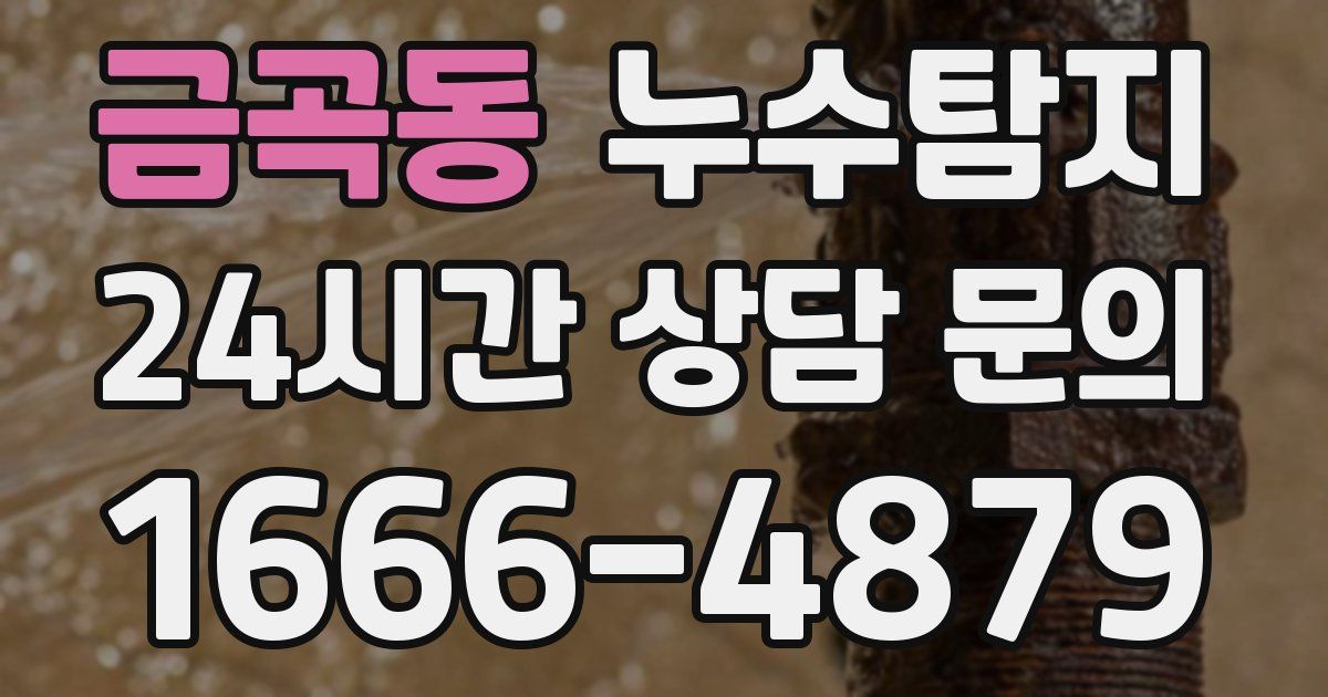 하수구막힘