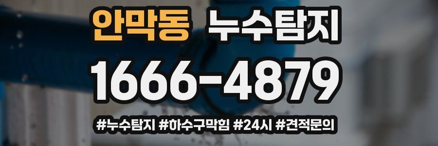 누수닥터 누수탐지