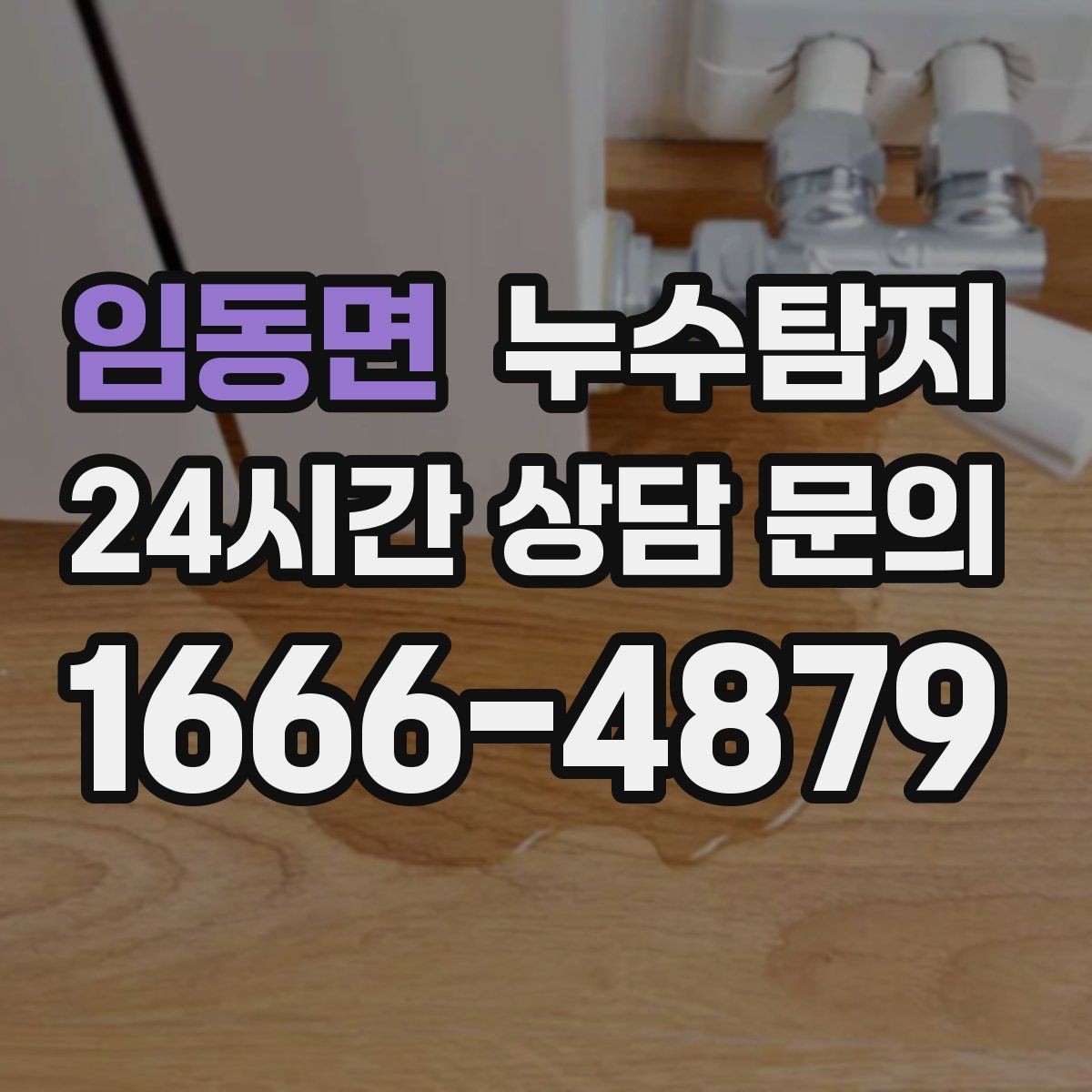 임동면 누수탐지 방수 층 손상 진단에서 복구까지