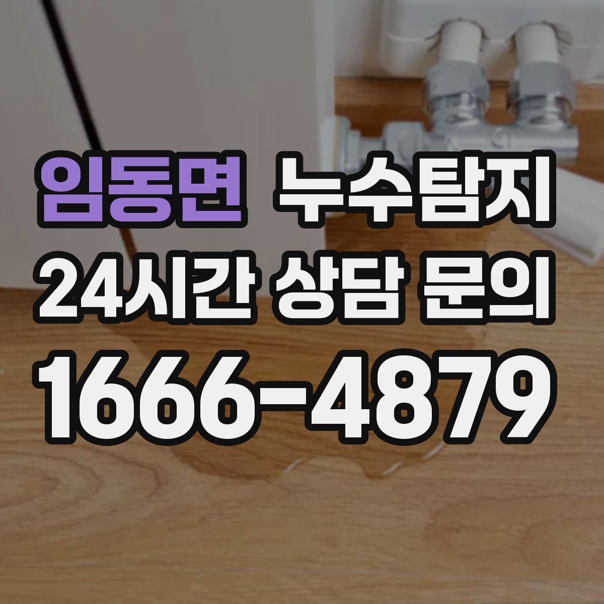 누수탐지
