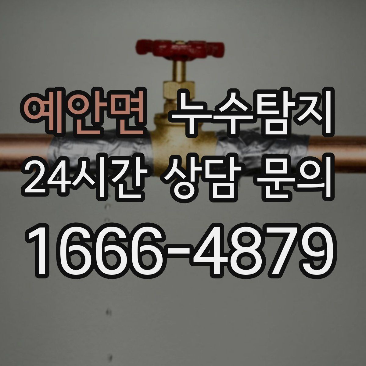 예안면 누수탐지 장비 기반 정확 진단